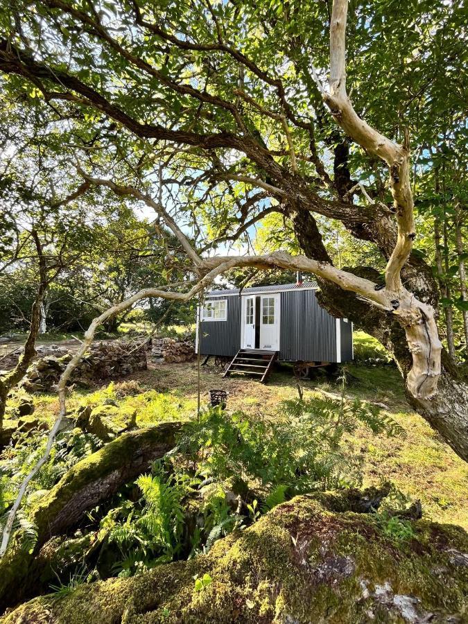 The Hazel Hut Vila Westport Exterior foto