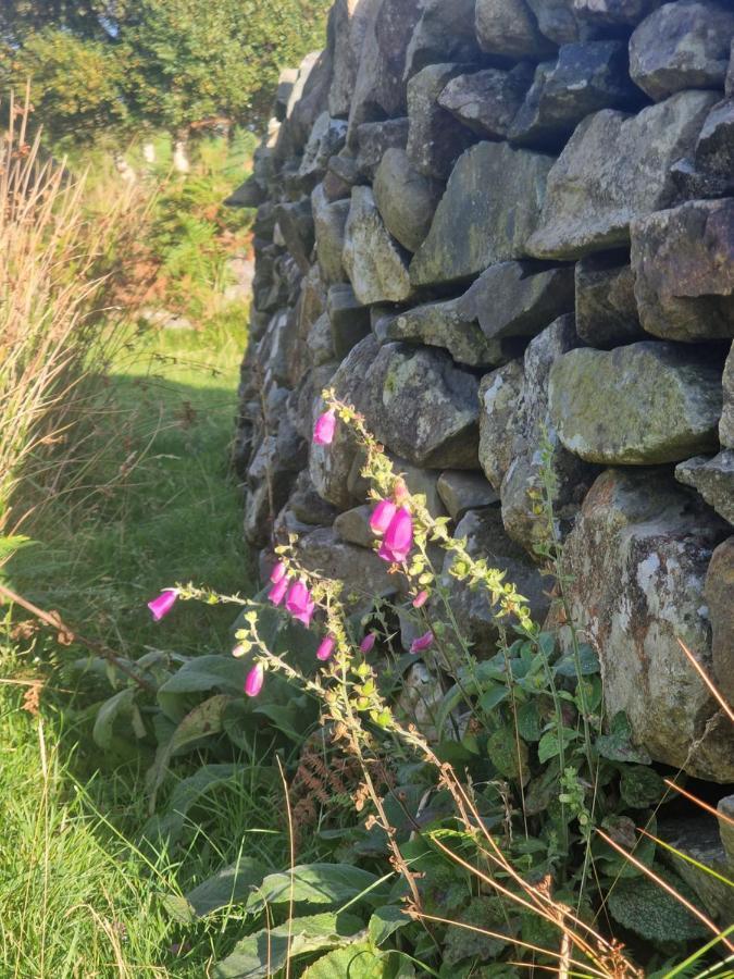 The Hazel Hut Vila Westport Exterior foto